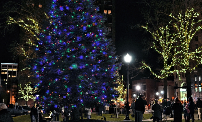 Downtown Jackson, MI park in holiday lights