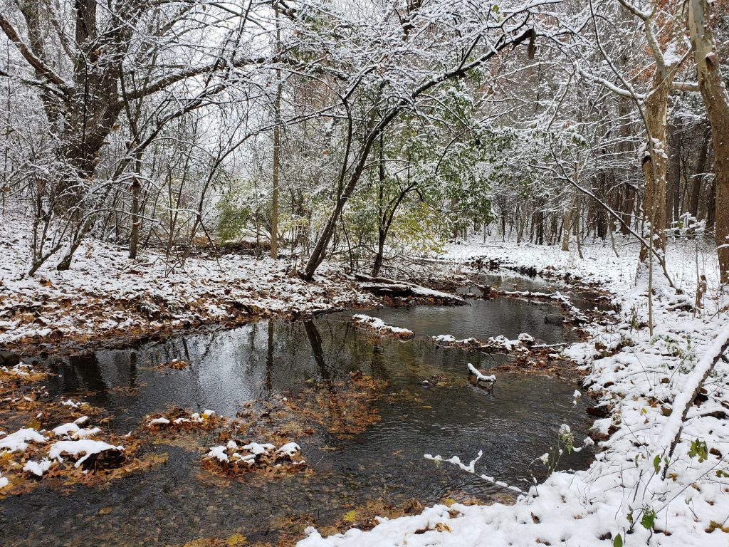 Winter stream at Dahlem Center