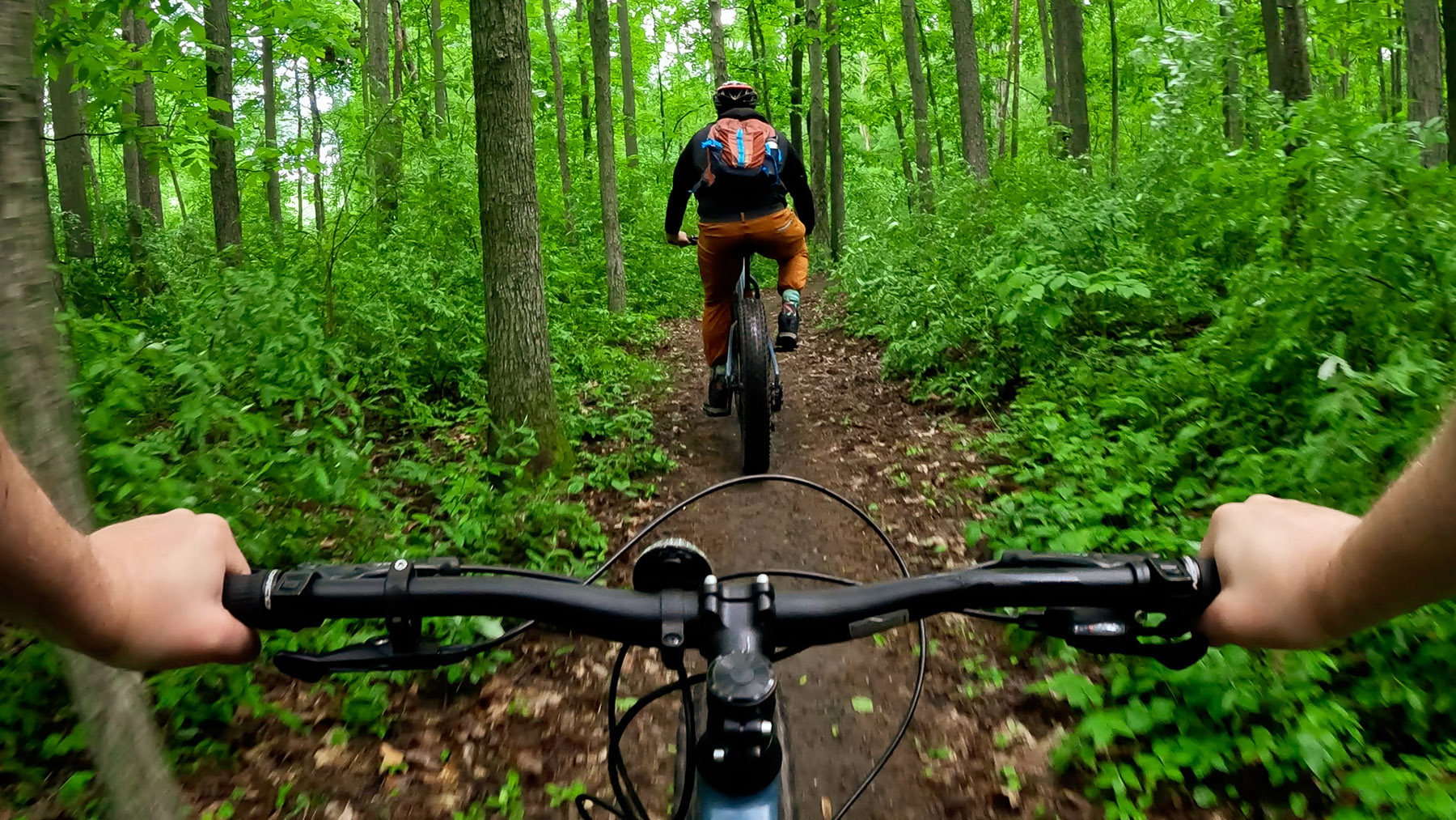 Things to do in Jackson, Michigan : Golf, wine, trails & more