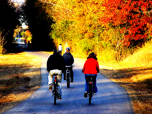 Biking trail