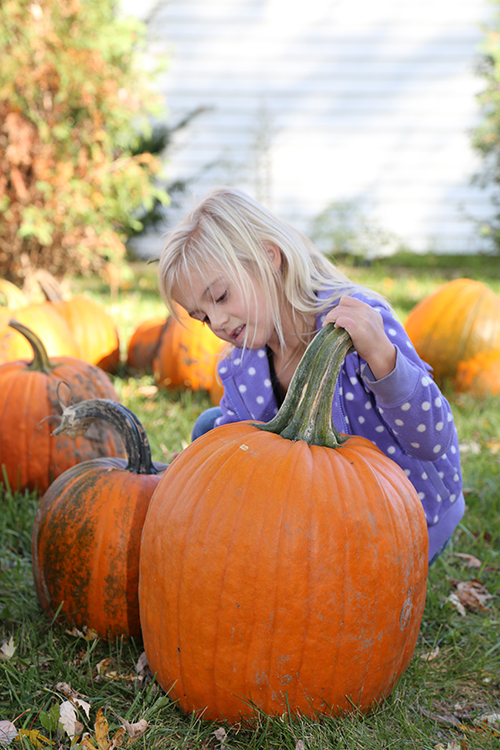 Girl picking pumpkins