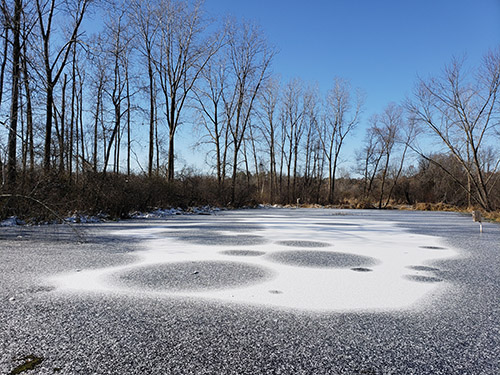 Reflecting pool