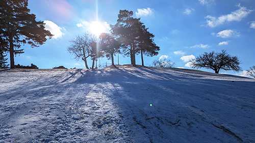 Cascades Sledding Hill